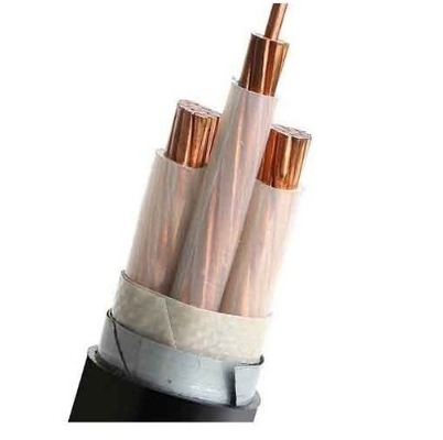 Class 2 LSZH N2X2Y 10mm2 Cable Low Smoke Halogen Free For Electrical Wiring Projects